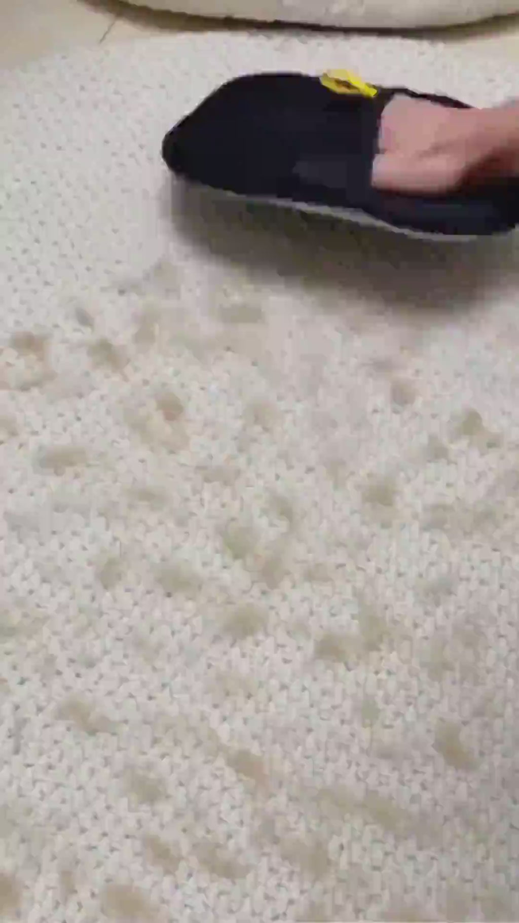 Gant Anti Poils – Pack Duo